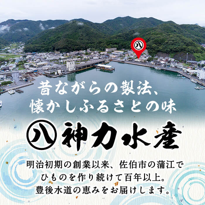 【ふるさと納税】厳選ひもの セット (7種) 簡単 調理 干物 あじ 真あじ あじみりん かます さば 真さば ちりめん ちりめんじゃこ イカ タイ みりん干し 丸干し 一夜干し 開き 魚 海鮮 冷凍 詰め合わせ【DF03】【(株)神力水産】