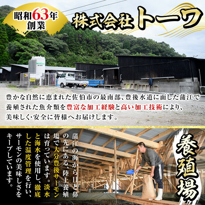 【ふるさと納税】蒲江育ちの『大分豊後サーモン中落ち丼』(70g×4個) 魚 サーモン 中落ち 丼 刺身 さしみ 小分け タレ 冷凍 佐伯 養殖 国産 大分県 佐伯市【EA26】【(株)トーワ】