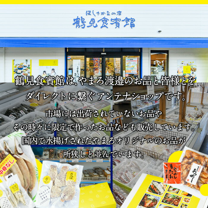 【ふるさと納税】＜訳あり＞干物 バラエティセット (8種) 簡単 調理 干物 あじ かます さば きびなご あつめし ぶり ぶりかま フライ 開き 魚 海鮮 冷凍 詰め合わせ 大分県 佐伯市 やまろ渡邉【DL05】【鶴見食賓館】