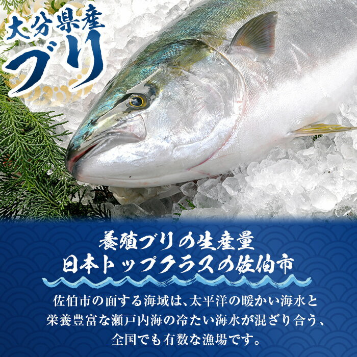 【ふるさと納税】＜お試し用＞ブリチャンBLACK(計225g・45g×5個)小分け 鰤 ブリ チャンジャ イカ墨 韓国料理 コチュジャン おつまみ 加工食品 大分県産 大分県 佐伯市 【EW066】【(株)Up】