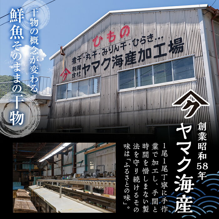 【ふるさと納税】職人おまかせ干物セット (合計10品以上) 干物 あじ 鯵 さば 鯖 丸干し みりん干し 開き 魚 海鮮 冷凍 詰め合わせ セット 大分県 佐伯市【CL63】【(有)ヤマク海産】