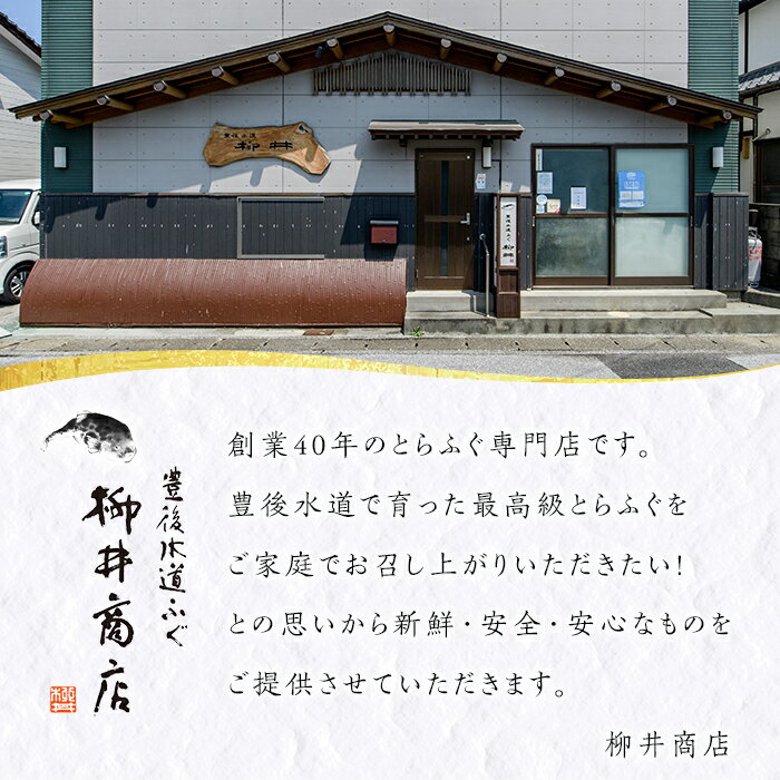 【ふるさと納税】＜訳あり・業務用＞乾燥 ふぐひれ (約100g・80枚以上) とらふぐ ふぐ フグ ひれ ヒレ 河豚 ひれ酒 養殖 業務用 国産 大分県 佐伯市【AB212】【柳井商店】