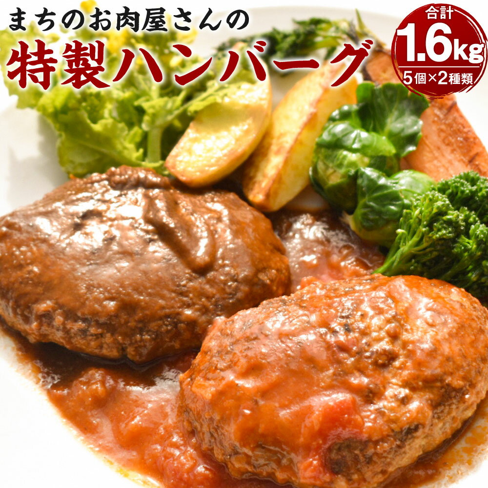 【ふるさと納税】まちのお肉屋さんの 特製ハンバーグ 合計約1.6kg 10個 2種類 5個 10人前 トマトソース デミグラスソース ハンバーグ 小分け 合挽肉 惣菜 洋食 お肉 肉 個包装 国産 大分県産 …