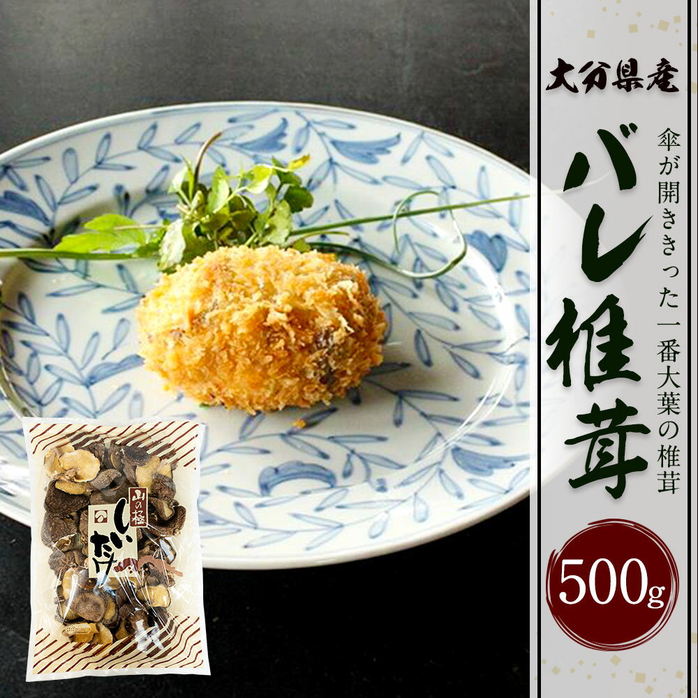 【ふるさと納税】大分県産 バレ椎茸 500g 乾しいたけ 椎茸 しいたけ シイタケ きのこ 干し 国産 九州産 だし 原木 FBR10 送料無料