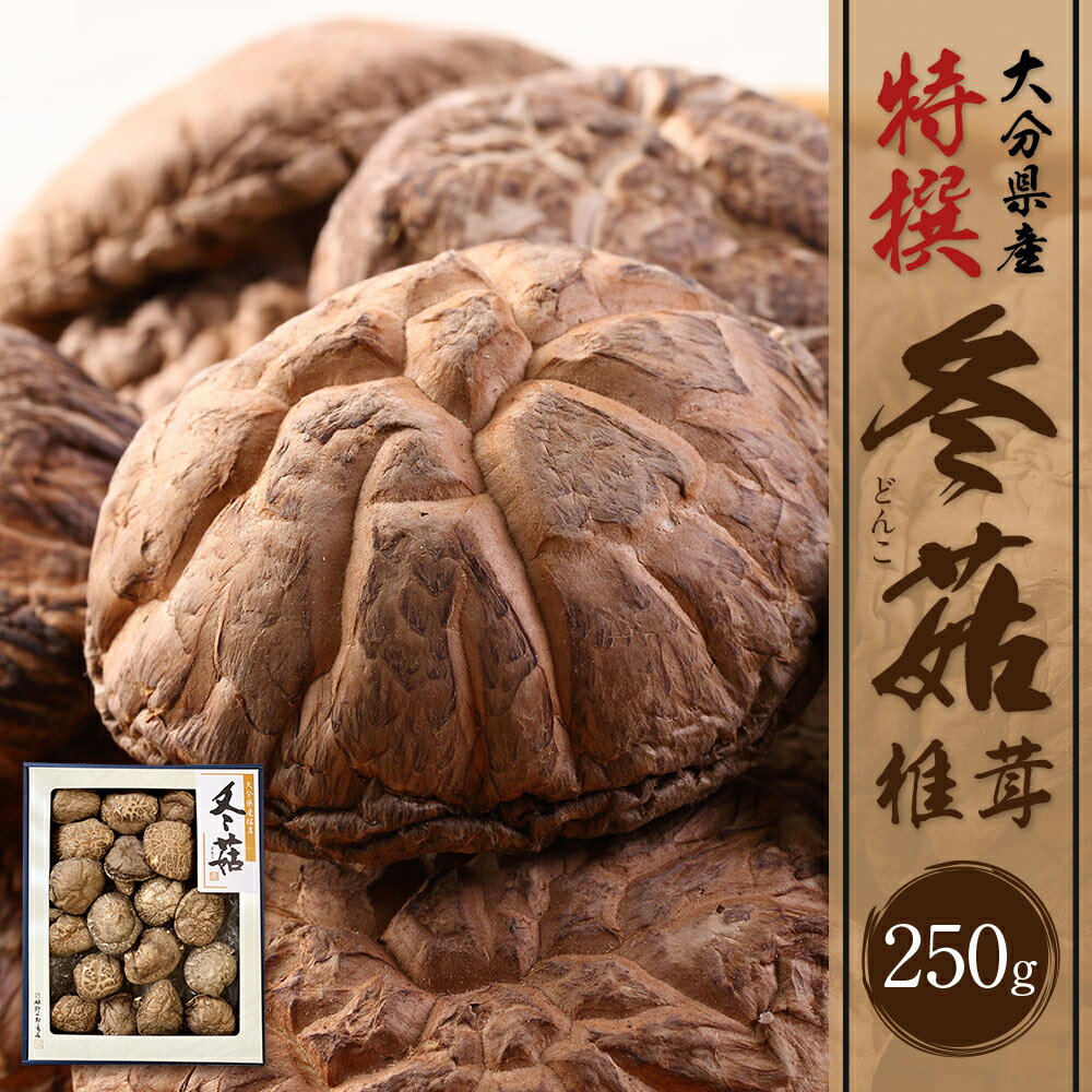 【ふるさと納税】大分県産 特撰どんこ椎茸 250g 乾しいたけ しいたけ シイタケ どんこ きのこ 干し 国産 九州産 だし 原木 FT20 送料無料