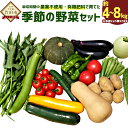 8位! 口コミ数「0件」評価「0」栽培期間中農薬不使用・有機肥料で育てた、季節の野菜セット 約4〜8kg 野菜 無農薬 有機肥料 有機野菜 旬 九州産 国産 送料無料