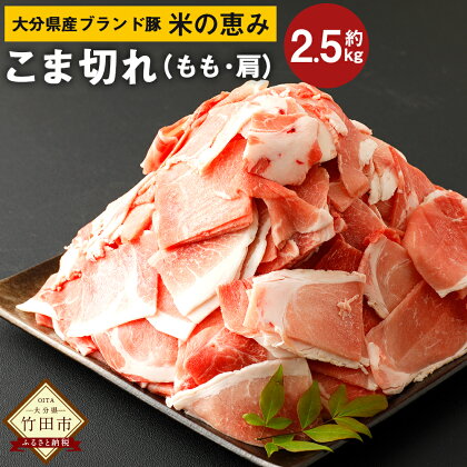 大分県産 ブランド豚 米の恵み こま切れ 約2.5kg 約250g×10袋 小分け 肩切り落とし（もも・肩） 豚肉 お肉 グルメ 竹田市 冷凍 国産 送料無料