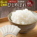 【ふるさと納税】定期便 令和2年度産 大分県産 ひとめぼれ 10kg×6ヶ月定期便 合計60kg 精米 米 お米 白米 精米 九州産 送料無料