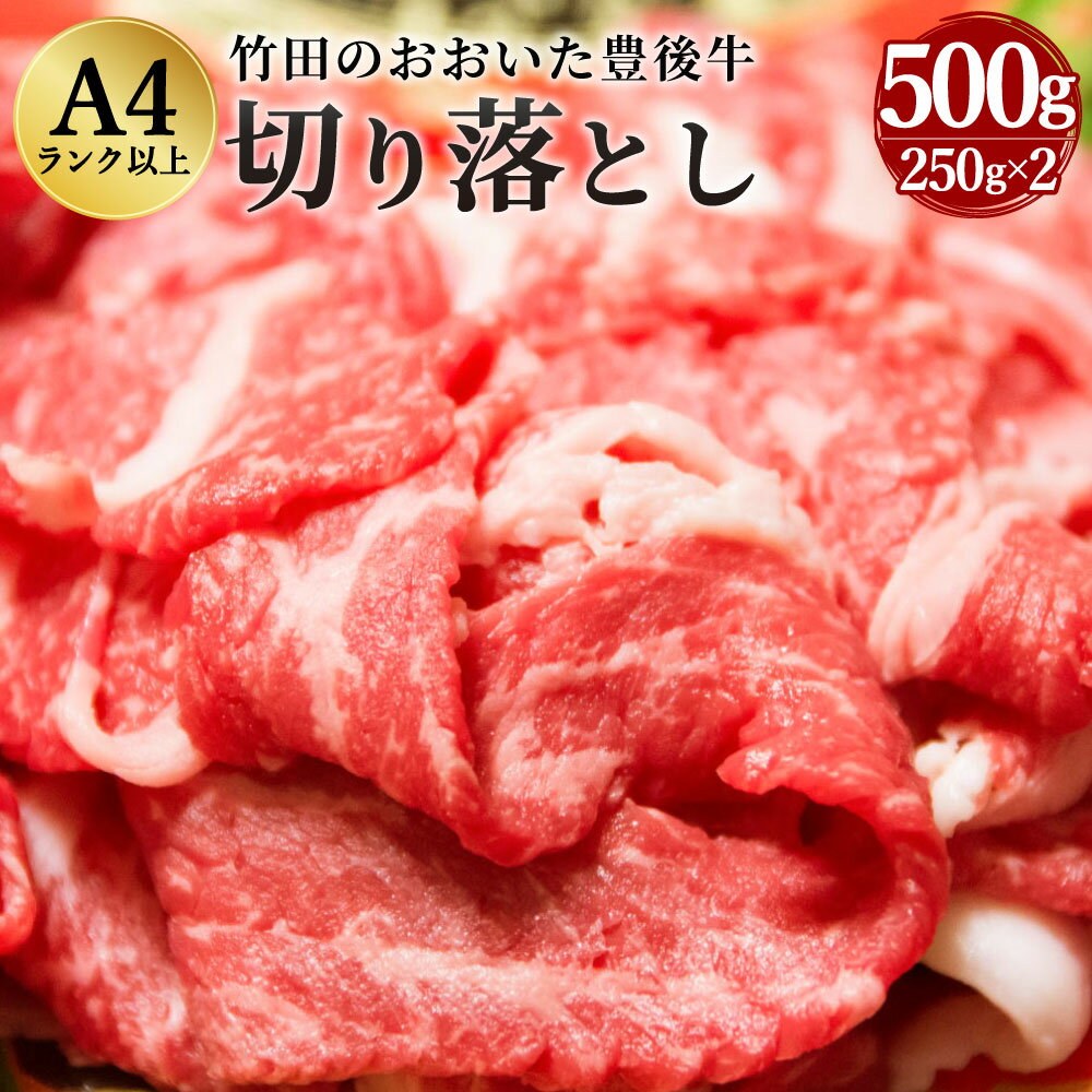 【ふるさと納税】豊後牛 切り落とし 500g 250g×2パック 正統派黒毛和牛 竹田 おおいた豊後牛 黒毛和牛 和牛 牛肉 A4ランク以上 切落し 小間切れ 小分け 冷凍 すき焼き 肉じゃが しゃぶしゃぶ 九州産 国産 送料無料