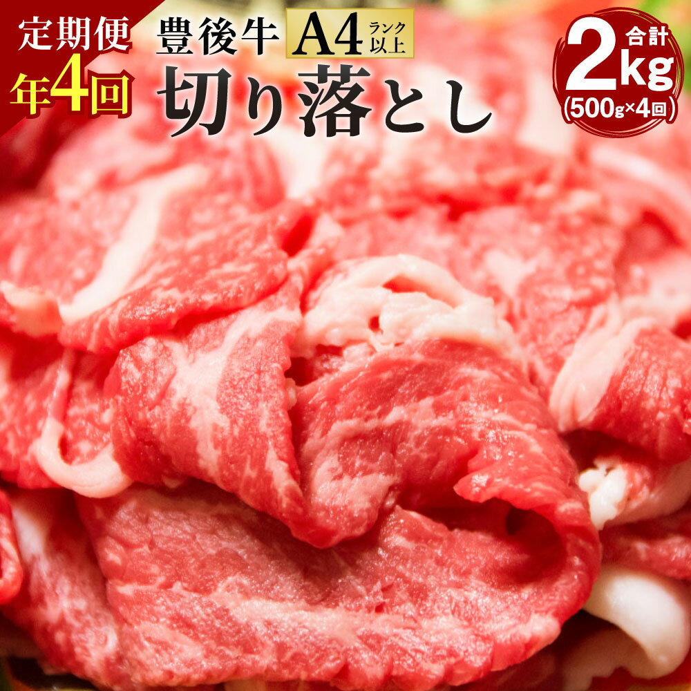 【定期便4回】豊後牛 切り落とし 合計2kg 500g×4回 正統派黒毛和牛 竹田 おおいた豊後牛 黒毛和牛 和牛 牛肉 A4ランク以上 切落し 小間切れ 小分け 定期便 2月・5月・8月・11月にお届け 冷凍 すき焼き 肉じゃが しゃぶしゃぶ 九州産 国産 送料無料