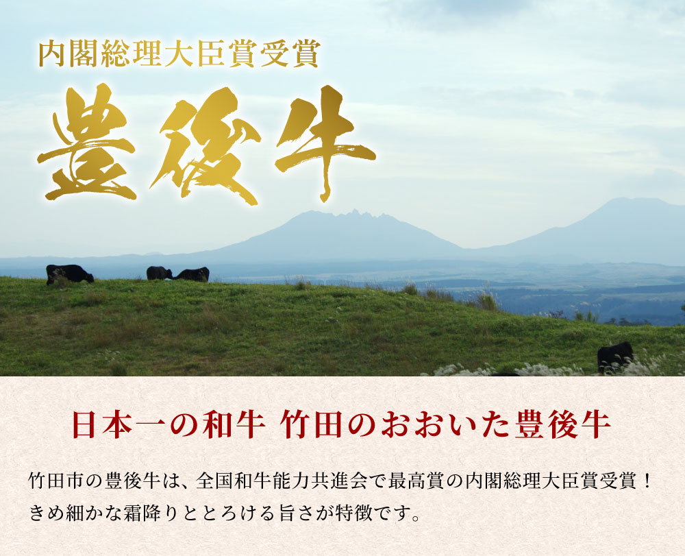 【ふるさと納税】竹田 おおいた 豊後牛 モモステーキ 400g 黒毛和牛 もも肉 ステーキ 和牛 牛肉 A4ランク以上 冷凍 大分県産 九州産 国産 送料無料