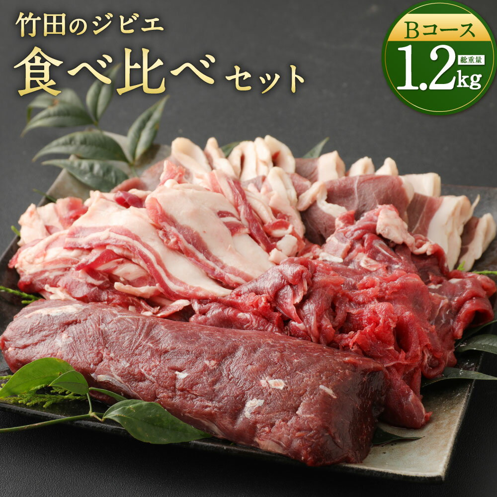 竹田のジビエ 食べ比べ 猪肉 鹿肉 4種 セット Bコース 合計1.2kg レシピ付き イノシシ シカ 4種類 ジビエ お肉 ロース 肩・モモ しゃぶしゃぶ肉 ブロック 冷凍 精肉 食品 セット 詰め合わせ 冷凍 竹田市 九州 国産 送料無料