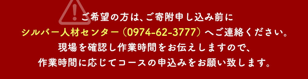 【ふるさと納税】【コロナ対策】 里帰り作業代行 お墓の清掃 4時間コース 敷地目安2坪程度 お墓 掃除 清掃 代行 除草 大分県 竹田市