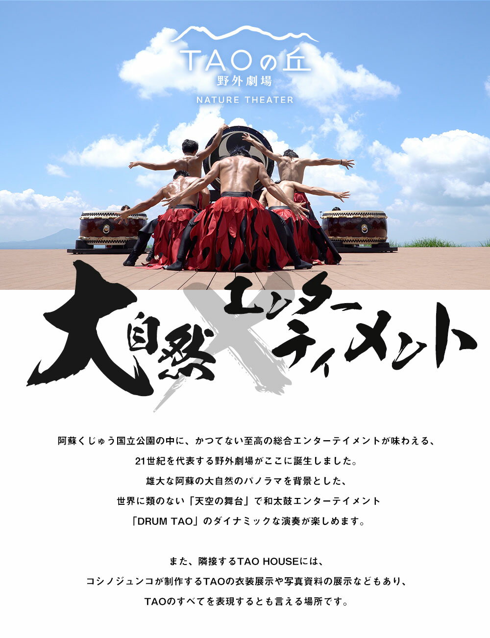 【ふるさと納税】【野外劇場TAOの丘】ふるさと納税限定 1名様分 ドラムタオ DRUM TAO 竹田市 大分県 チケット 野外劇場 公演 送料無料