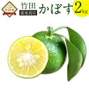 【ふるさと納税】【2024年8月下旬より順次発送】さわやかな 果汁たっぷり 竹田かぼす 2kg 25玉前後 露地栽培 大分 竹…