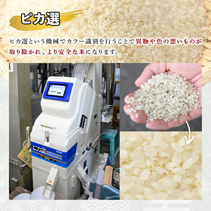 【ふるさと納税】＜令和7年産＞大分県産ひのひかり 胚芽ビタミン米(計4kg・1kg×4パック)米 お米 ひのひかり ヒノヒカリ 白米 大分県産【107800302】【お米の鈴木】 f442119-usa-10001505 大分県宇佐市 サンプル画像3