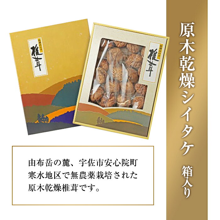 �ڤդ뤵��Ǽ�ǡ�̵�������ڴ��祷��������Ȣ����(��160g)���� ���� �������� ������ �������� ���Τ� �н� ��ʬ������100801500�ۡ�ɴ�а���