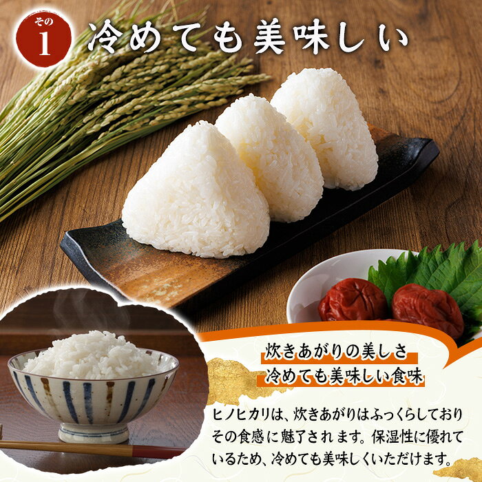 【ふるさと納税】＜容量が選べる！＞ ヒノヒカリ 白米 (計5kg or 10kg) お米 ごはん ご飯 ひのひかり 数量限定 【117800101・117800201】【ジョイライス大分】 f442119-usa-10001639 大分県宇佐市 サンプル画像3