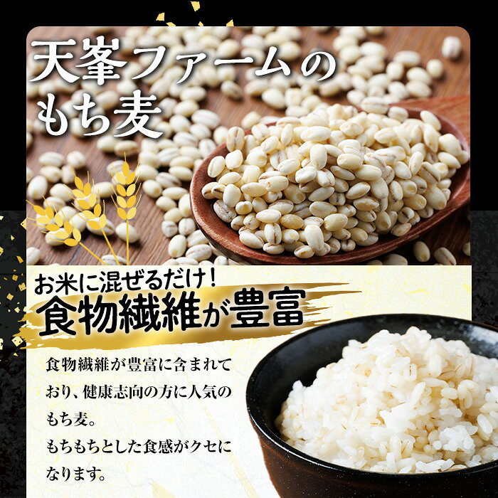 【ふるさと納税】＜配送回数・内容量が選べる！＞＜定期便＞大分県産もち麦 キラリモチ(総計1.05kg～20kg) ダイエット 健康 業務用【112400604・112400901・112401000・212400100・212400200】【天峯ファーム】