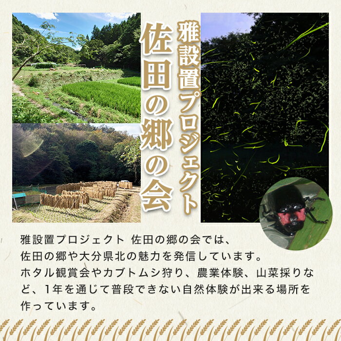 【ふるさと納税】＜新米・令和7年産＞佐田の郷の米 特別栽培米(10kg)お米 白米 ごはん ヒノヒカリ ひのひかり ブランド米 常温 常温保存【111700804】【雅設置プロジェクト　佐田の郷の会】
