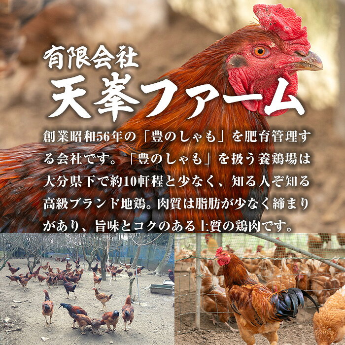 【ふるさと納税】大分地鶏豊のしゃも地鶏出汁スパイスカレー(計900g・180g×5パック)レトルト 簡単調理 惣菜 時短 常温 ご当地カレー【112400301】【天峯ファーム】 f442119-usa-10000877 大分県宇佐市 サンプル画像2