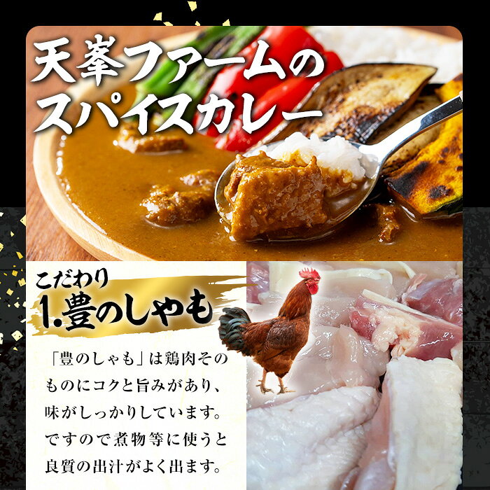 【ふるさと納税】大分地鶏豊のしゃも地鶏出汁スパイスカレー(計900g・180g×5パック)レトルト 簡単調理 惣菜 時短 常温 ご当地カレー【112400301】【天峯ファーム】 f442119-usa-10000877 大分県宇佐市 サンプル画像3