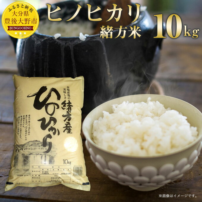 【ふるさと納税】大分県産 ヒノヒカリ（緒方米） 10kg 令和2年産 ひのひかり 白...