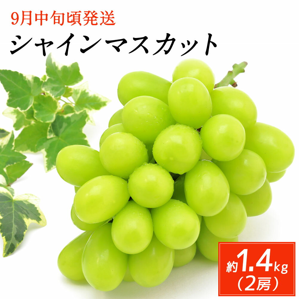 【ふるさと納税】シャインマスカット 2房 合計約1.4kg 果物 フルーツ ブドウ ぶどう 葡萄 旬 大分県産 九州産 冷蔵 国産 2021年9月中旬〜10月中旬発送予定 予約 送料無料