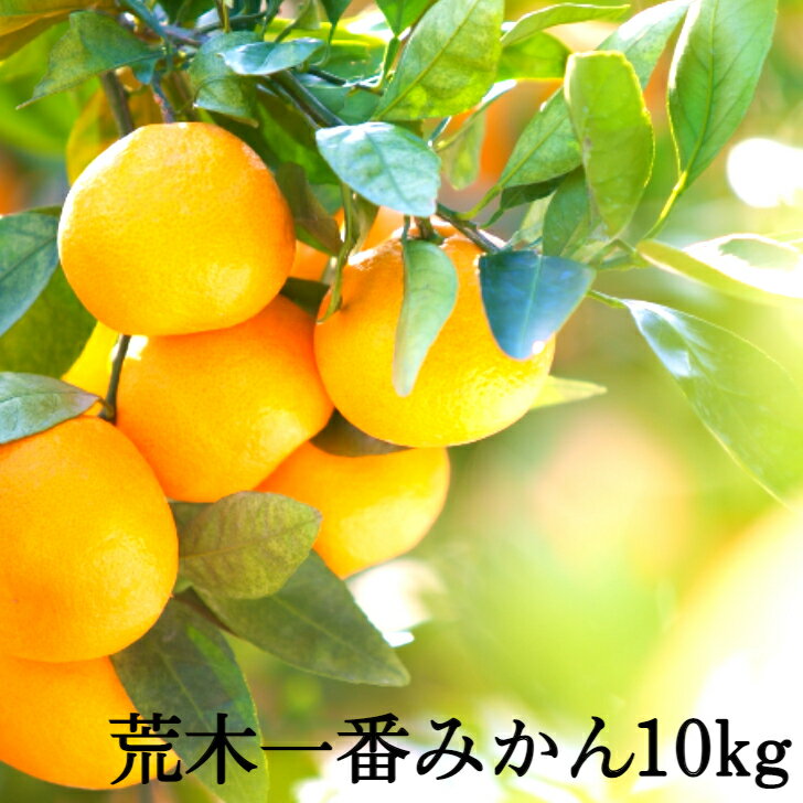 [先行予約・年明け配送]令和8年1月発送開始/荒木一番みかん10kg 蜜柑 温州ミカン