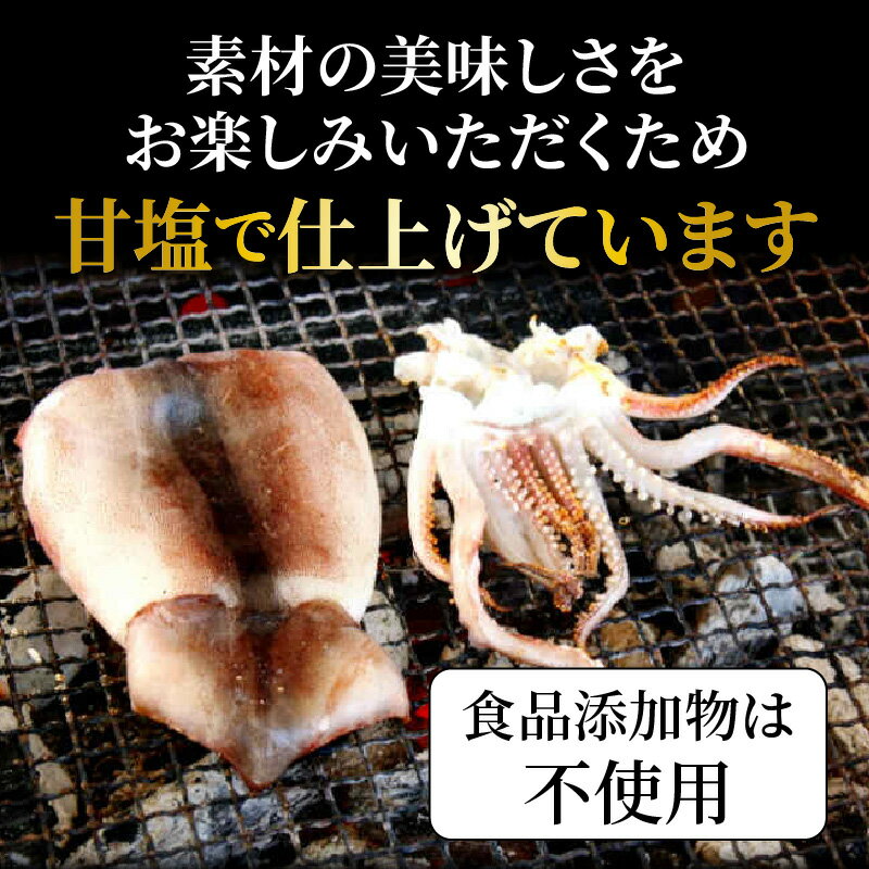 【ふるさと納税】訳あり 不揃い するめイカ 一夜干し 1.2kg以上 3～6尾 サイズ不揃い 肉厚 イカ 無添加 海鮮 干物 甘塩 おつまみ おかず ゲソ 耳 コリコリ食感 炙り 酒の肴 アテ お取り寄せ グルメ 送料無料