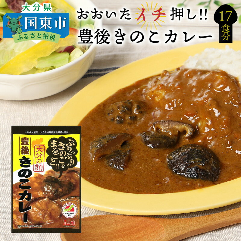 【ふるさと納税】豊後 きのこカレー 17食分 180g×17パック レトルト カレー ご当地カレー 椎茸 プリプリ スパイシー 全国ご当地レトルトカレー ランキング 準グランプリ 旨味 深い味わい 食べ応え ご当地グルメ お取り寄せ グルメ 送料無料