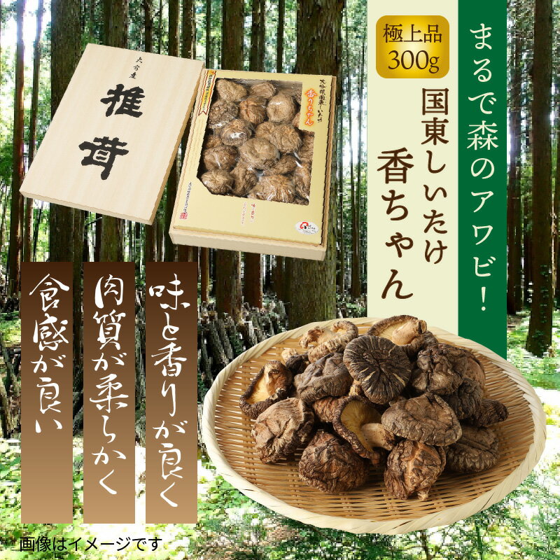 【ふるさと納税】国東しいたけ「香ちゃん（極上品300g）」※桐箱入り・通