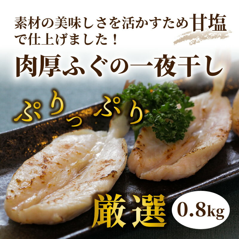 【ふるさと納税】ふっくらプリプリ！肉厚ふぐの一夜干し0.8kg