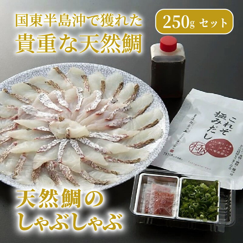 【ふるさと納税】天然鯛のしゃぶしゃぶセット・通