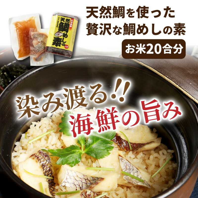 【ふるさと納税】鯛めし 素 20合分 10パック 大分 国東 大分県産 天然鯛 海鮮 簡単 炊き込みご飯 便利 炊くだけ 切り身 本格派の出汁 旨味 おうちごはん 調理 料理 食品 ギフト 贈答 お取り寄せ グルメ 送料無料