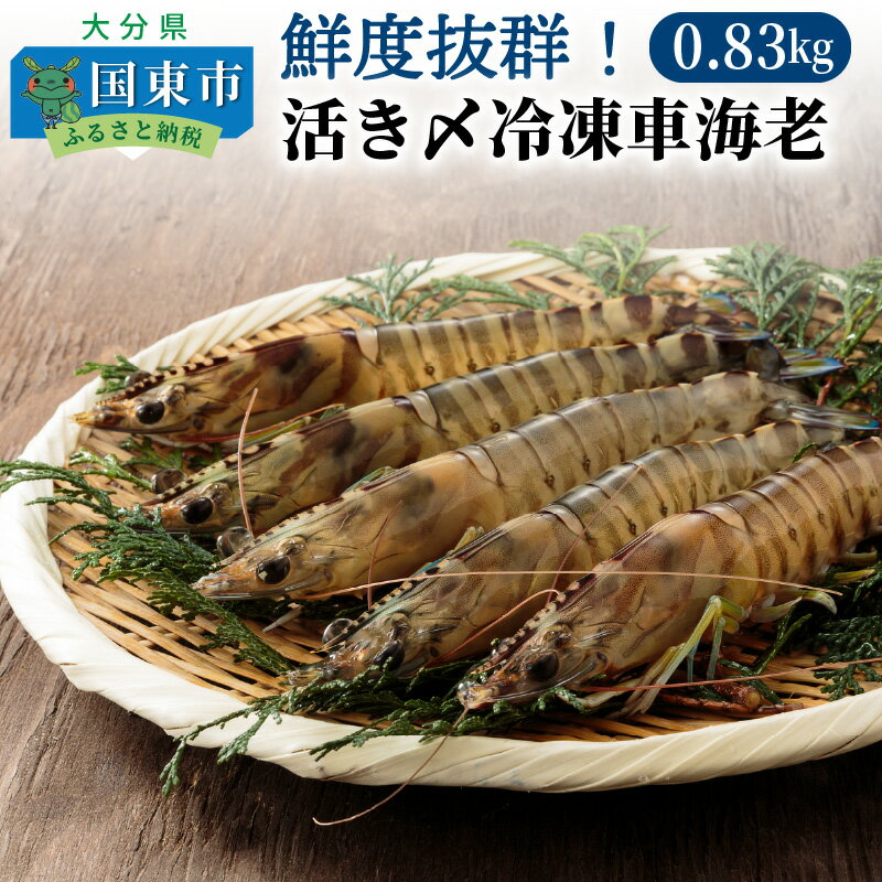 記事番号:33658/アイテムID:337747の画像