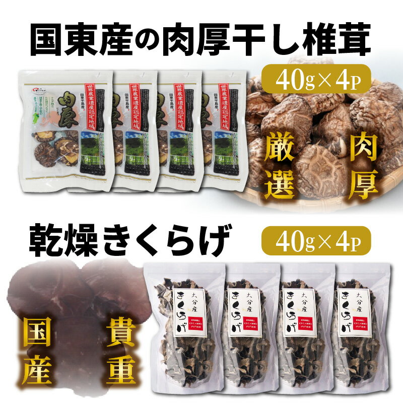 【ふるさと納税】干し 椎茸 乾燥 きくらげ 各160g 40g×4P セット どんこ 肉厚 国産 乾燥シイタケ 小分け パック 保存 便利 使い勝手 チャック付き 大分 国東 乾しいたけ 干しキクラゲ お取り寄せ グルメ 送料無料