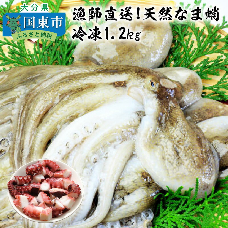 漁師直送!天然なま蛸/冷凍1.2kg