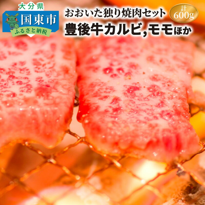 【ふるさと納税】おおいた独り焼肉セット計600g/豊後牛カルビ,モモほか