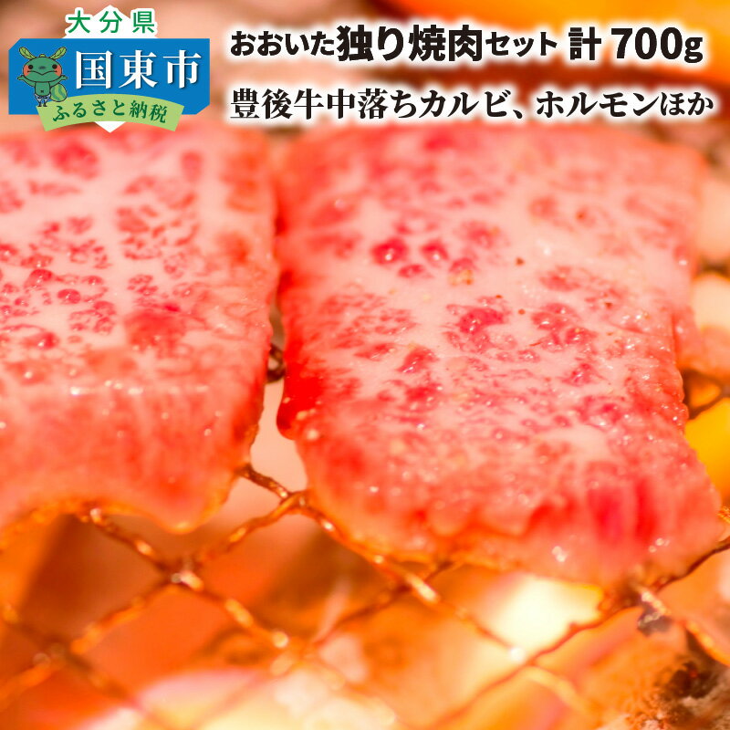 【ふるさと納税】おおいた独り焼肉セット計700g/豊後牛中落ちカルビ,ホルモンほか