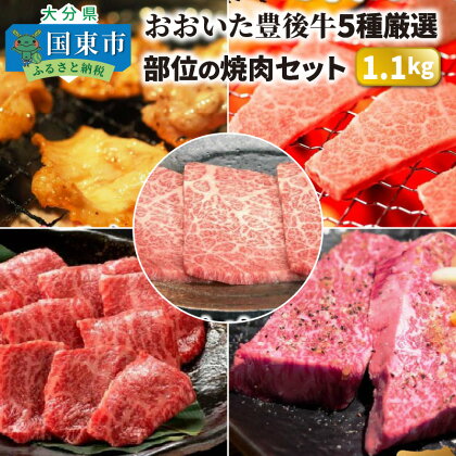 豊後牛 焼肉 セット 1.1kg おおいた豊後牛 5種 食べ比べ 内閣総理大臣賞受賞 和牛 希少部位 厳選 ざぶとん とも三角 カイノミ イチボ とろホルモン 黒毛和牛 焼き肉 バーベキュー パーティー 国産 送料無料