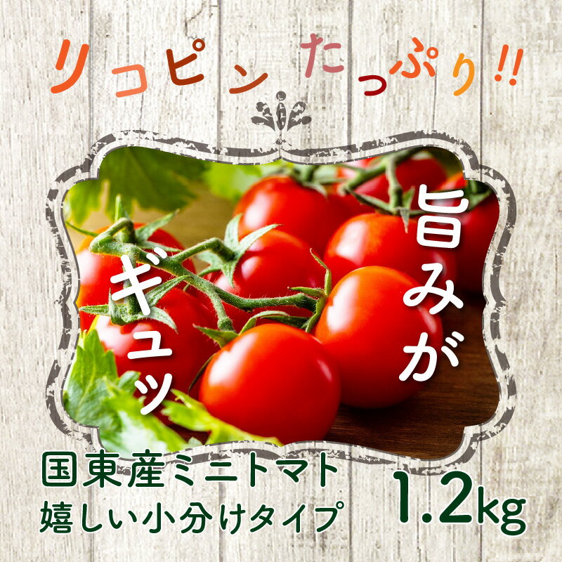 【ふるさと納税】国東産ミニトマト1.2kg※嬉しい小分けタイプ_1053R 小分け トマト 好きっちゃとまと ハウス 新鮮 野菜 サラダ リコピン パスタ カプレーゼ トッピング おかず おつまみ パーティー おうち 自宅 ギフト 贈答 お取り寄せ グルメ 送料無料