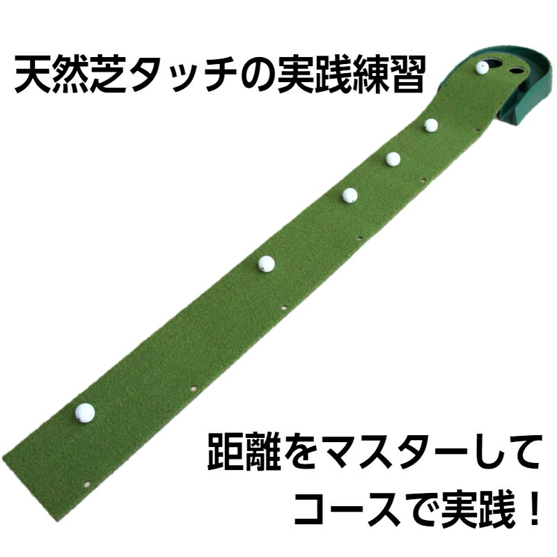 ゴルフ人気ランク8位　口コミ数「0件」評価「0」「【ふるさと納税】ゴルフ練習用　アイリスソーコー　プロ芝パターマット　SP-040　トレーニング用品　パッティング練習器具　パターマット　ゴルフマット　ゴルフ用品　人工芝　IRIS SOKO　ゴルフボールなし」