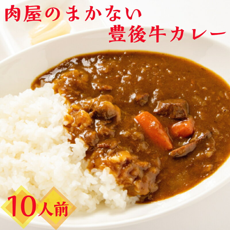 肉屋のまかない豊後牛カレー2.3kg(230g×10P)