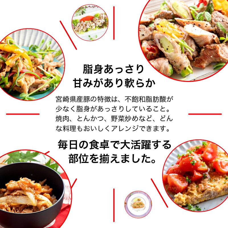 【ふるさと納税】 豚肉 宮崎県産豚バラエティセット3.6kg（豚肉切落とし、豚肉ロースとんかつ、豚肉ロース薄切り、豚肉ミンチ、豚肉モモスライス、豚肉バラ焼肉、豚肉バラ切り落とし）冷凍 小分けパック