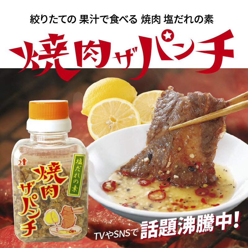 【ふるさと納税】焼肉ザパンチ（1個80g）| ふるさと納税 3000 ふるさと納税 3000円 ポッキリ ふるさと納税 人気 焼き肉 やきにく おすすめ 特産品 お土産 手土産 土産 BBQ バーベキュー キャンプ |