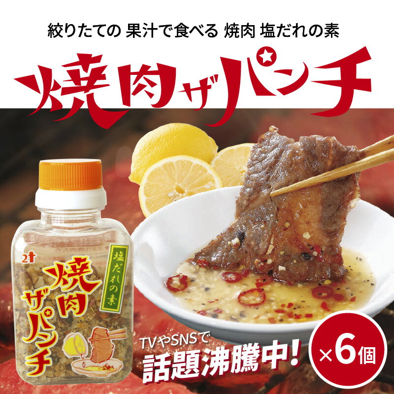 【ふるさと納税】塩だれの素 焼肉ザパンチ 6個 調味料 焼肉 タレ 塩だれ 話題沸騰 ローストガーリック 香り 旨味 黒胡椒 唐辛子 スパイシー 果汁 調味 アクセント 料理 パンチ お取り寄せ グルメ お取り寄せグルメ 宮崎県 宮崎市 送料無料