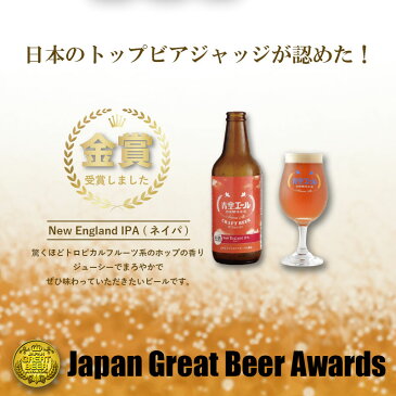 【ふるさと納税】青空エールこだわりのクラフトビール飲み比べ詰め合わせセット〈フルーツビール入り〉6種6本(500mlペットボトル×6本)