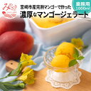 【ふるさと納税】数量限定 宮崎市産 完熟マンゴー 濃厚 マンゴー ジェラート（業務用1000ml） 贅沢 人気 高級品 芳醇 果肉 フルーツ アイス ジューシー 香り 冷凍 贈り物 贈答 グルメ お取り寄せ 宮崎県 宮崎市 送料無料