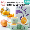 【ふるさと納税】数量限定 宮崎市産 完熟マンゴー 濃厚 マンゴー ジェラート(贈答用 100ml×6個)贅沢 人気 高級品 芳醇 果肉 フルーツ アイス ジュー...